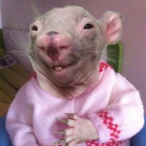 Meet your Posher, S.